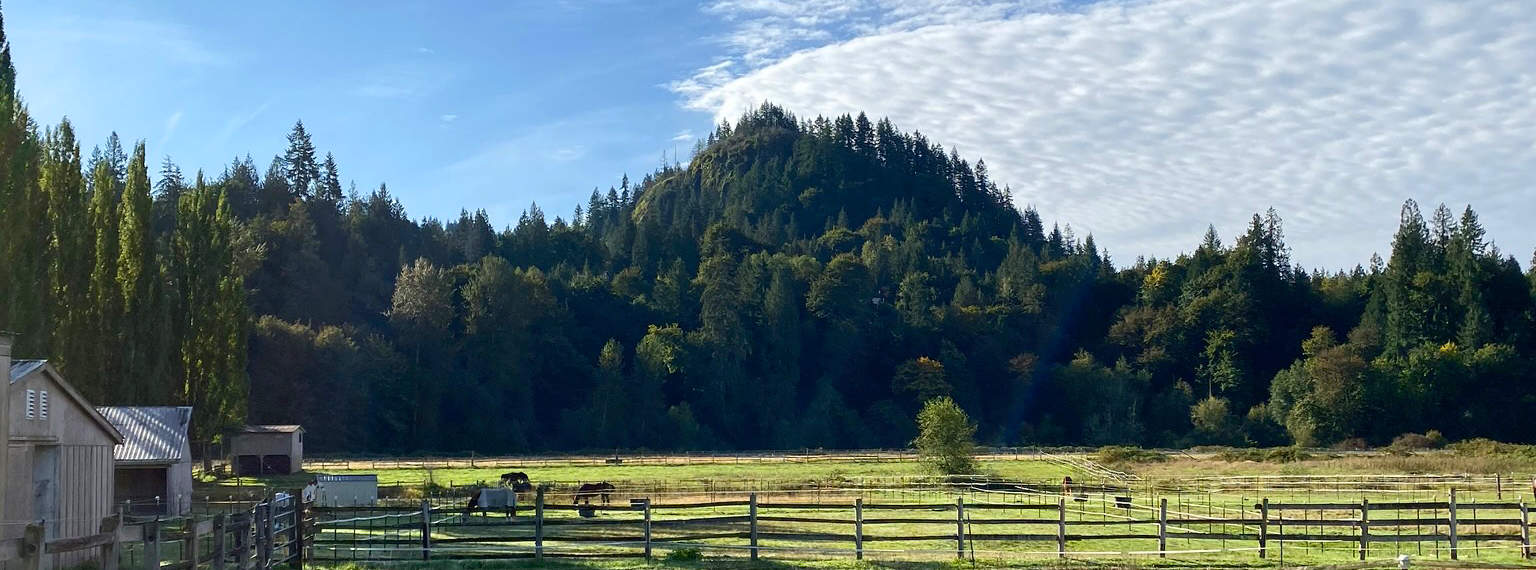 Our Facility Scooter's Place