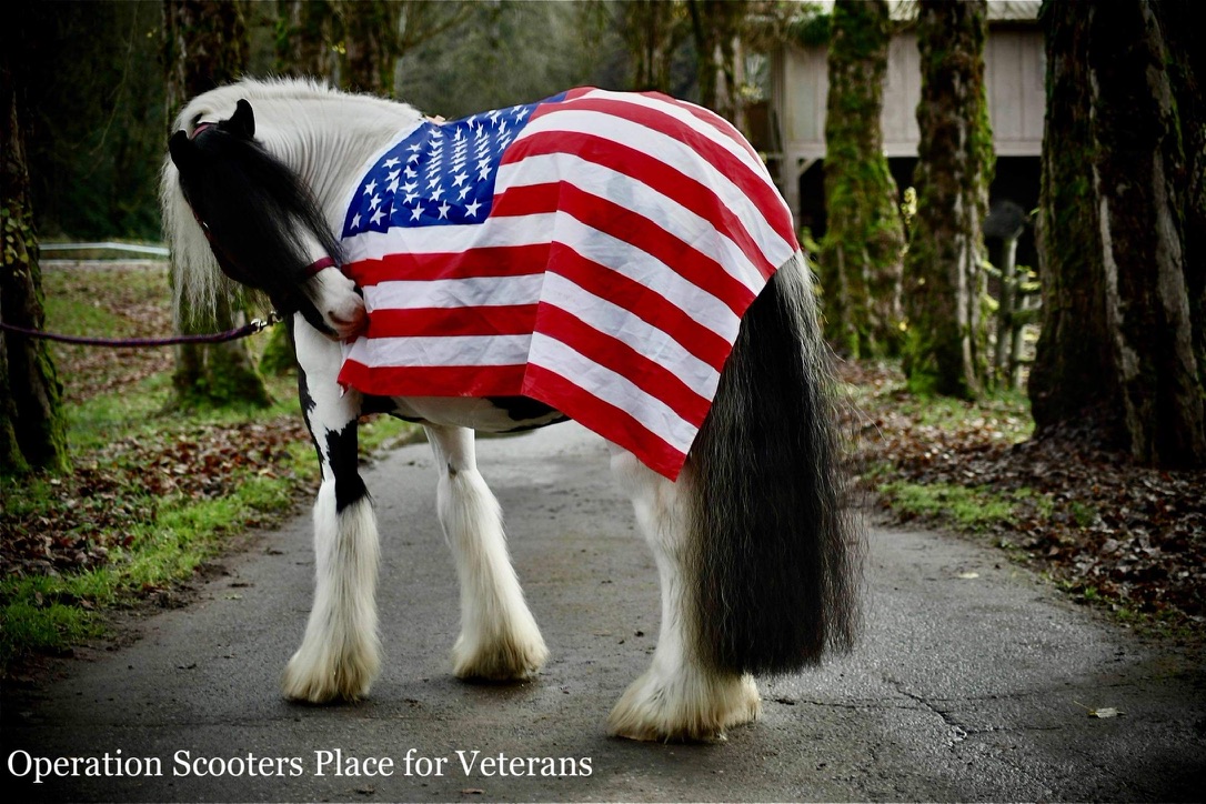 Operation Scooters Place for Veterans Scooter's Place